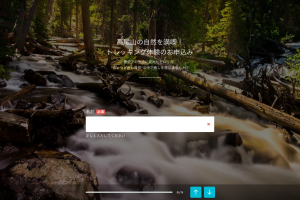 ステップフォーム画面
