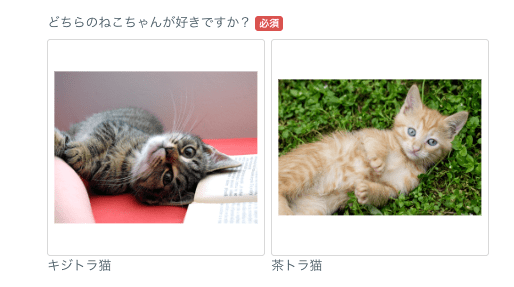 猫ちゃんの画像選択