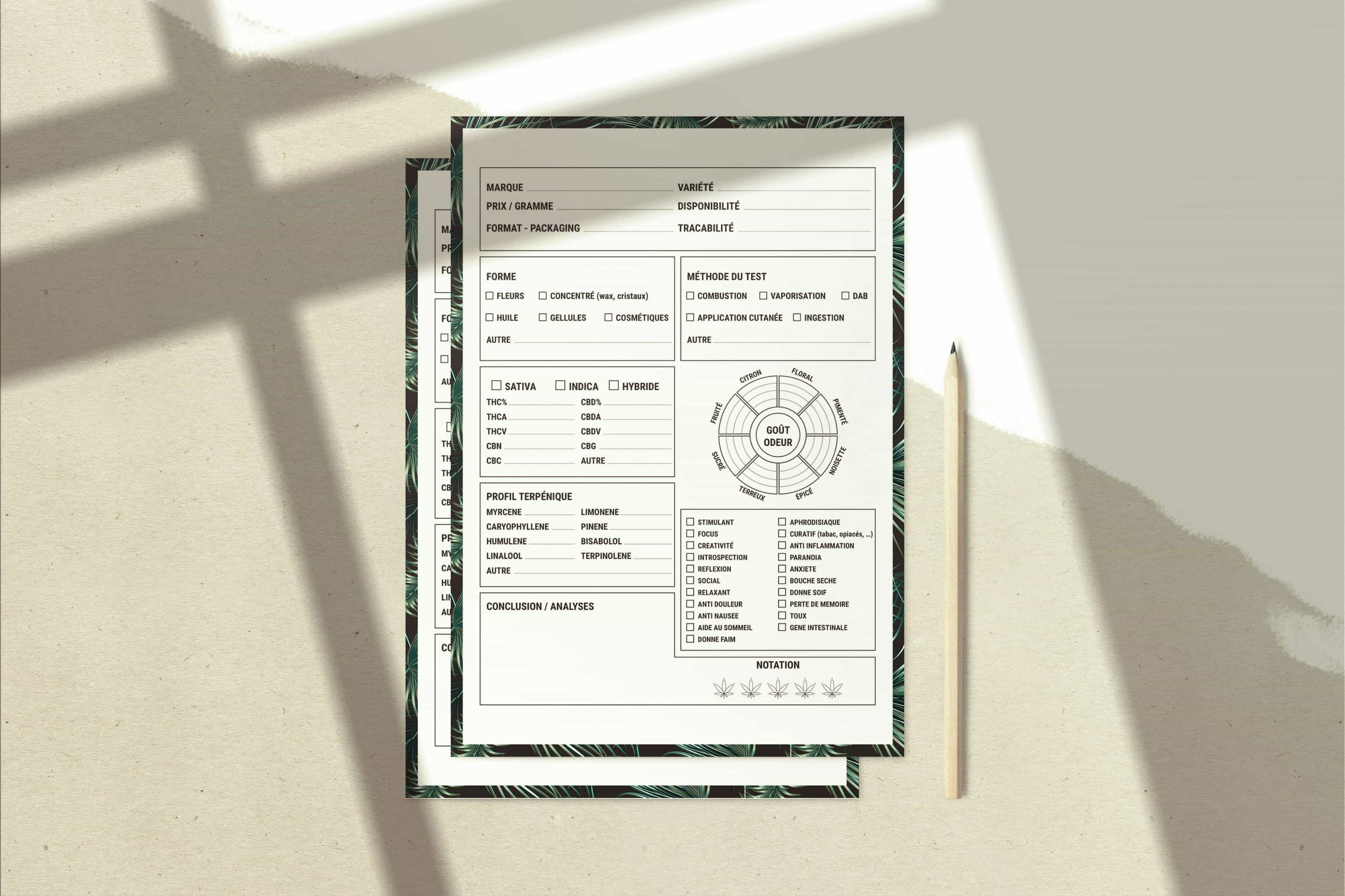 アンケートや投票の作成に最適なおすすめWebツール5選｜違いや選び方を解説